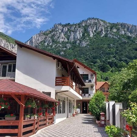 Casa Mimi Leilighet Băile Herculane Eksteriør bilde