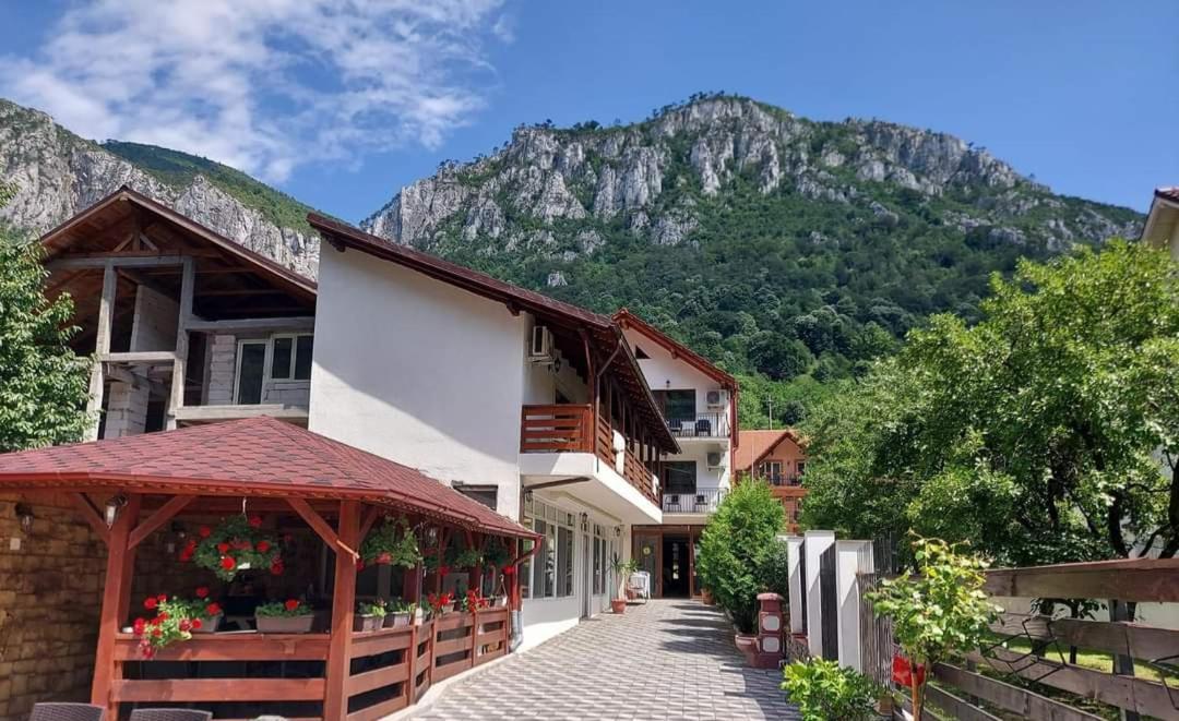 Casa Mimi Leilighet Băile Herculane Eksteriør bilde